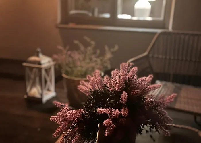 Daire Stilvolle Studiowohnung Mit Sonnenterasse